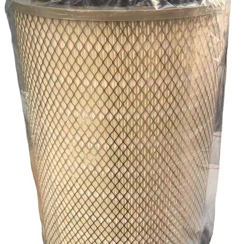 Filtro d'aria di dimensioni standard originale 2841 per i requisiti di manutenzione dei camion pesanti